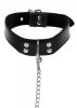 Elegant Collar and Chain Leash